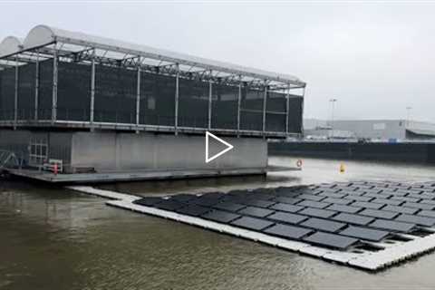 This Is the World’s First Floating Farm