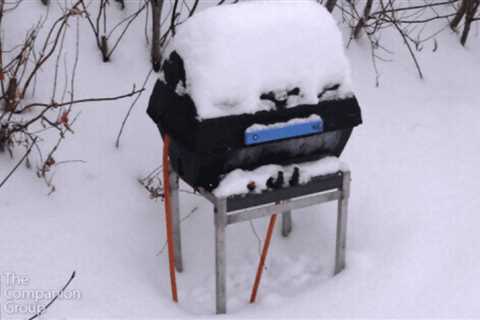 Can You Grill in the Winter?