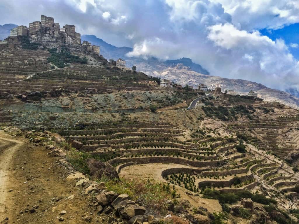 Yemen Coffees: Variations on the World’s Oldest Cup Profile