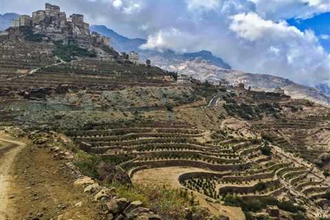 Yemen Coffees: Variations on the World’s Oldest Cup Profile