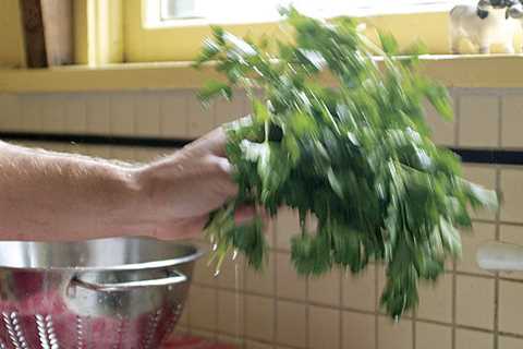 The Best Way to Chop Fresh Herbs