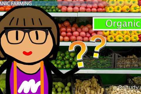 Why is Organic Food More Expensive?