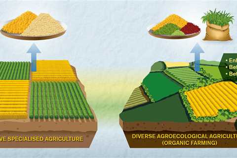 What is a Conventional Farm?