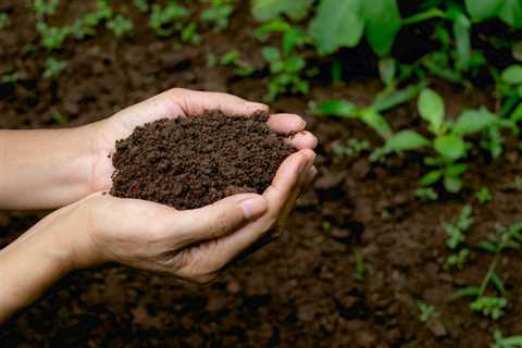 Soil Composition and Biodiversity