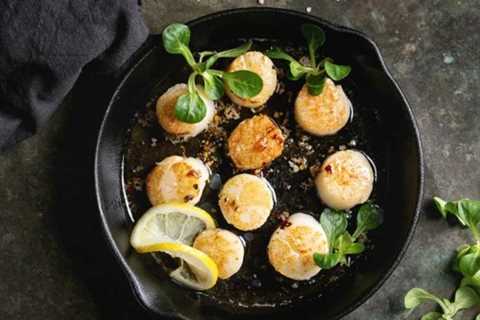 Are Dried Scallops a Good Source of Vitamin B12?