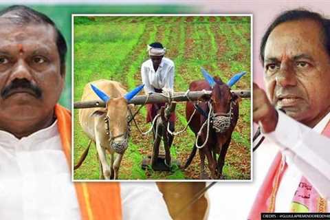 Farmers' Questions Answered