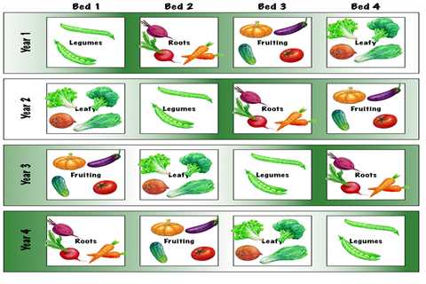 The Benefits of Crop Rotation