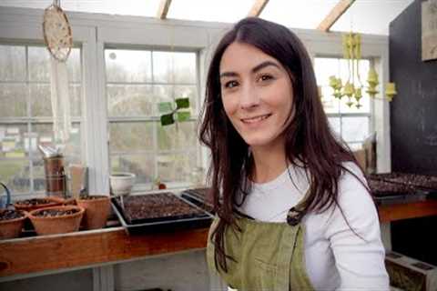 Have You Thought About Starting A Medicinal Herb Garden?