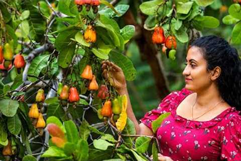 Traditional Cashew Apple & Nut Recipes 🍎 Delicious Fruit Dishes from Sri Lanka (Village Food)