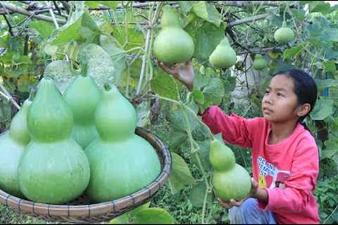 Smart girl Pich harvest bottle gourd for cooking, She invite great grandpa to taste her food