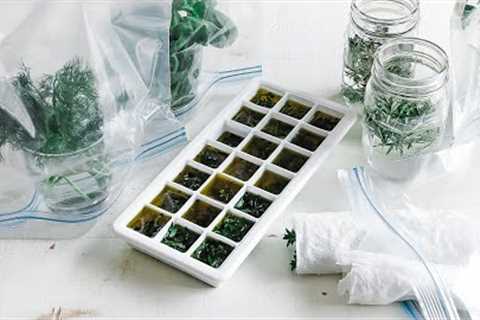 How to Store Fresh Herbs » Preserving and Extending the Life of Your Herbs