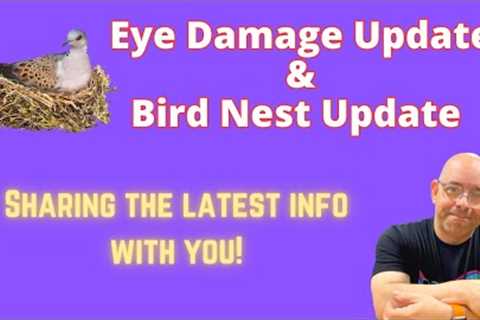 WHAT IS GOING ON WITH MY HEALTH? EYE DAMAGE AND NESTING BIRDS UPDATE