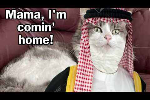 SAM IS COMING HOME!