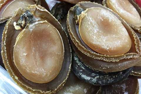 Why is Canned Abalone So Expensive?