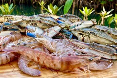 Crabbing Behind our House | Shrimp Étouffée