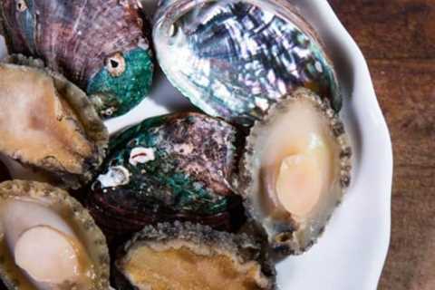 Where to Buy the Best Canned Abalone
