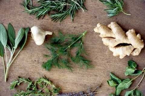 How to Cook With Basic Herbs| P. Allen Smith Cooking Classics