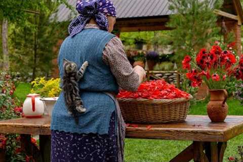 The Scents of Spring: Picking Poppy Flowers For Jam