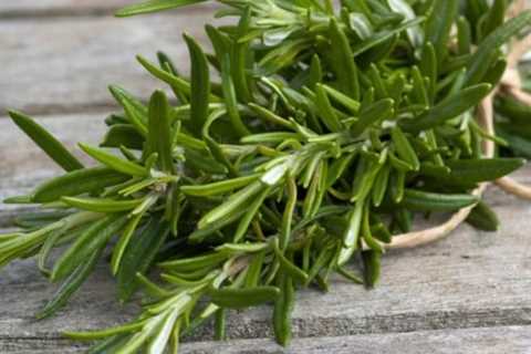 Herbal Stews: A Deeper Look
