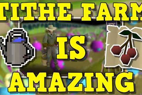 The New Tithe Farm Is Amazing! | Tithe Farm Guide 2023