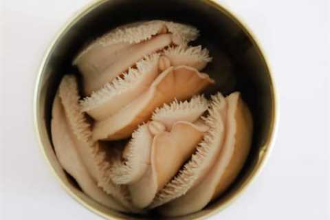 Where to Buy the Best Canned Abalone in Melbourne?