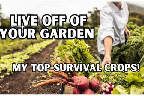 SURVIVAL GARDEN | Crops For Small Properties | No Fear Prepping!