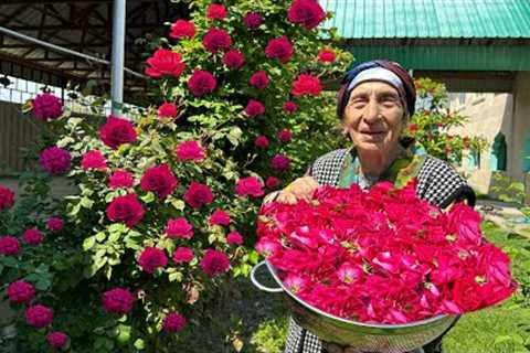 Picking Roses and Making ROSE Jam, Three sisters Dolma, Chicken Recipe