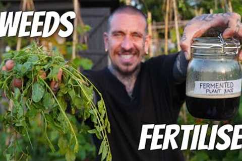 6 ways to use WEEDS to grow a ton of food