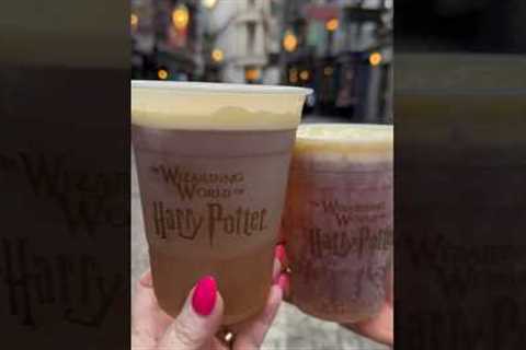 🌱🍺Vegan Butterbeer at Universal Studios Orlando & Hollywood ⚡️🍻