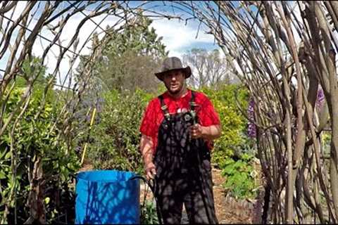 This Is The Best Gardening Secret Every Gardener Needs To Know About!