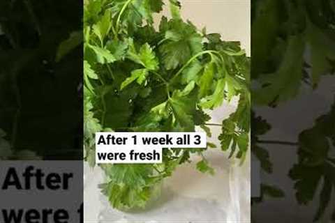 What’s the best way to store herbs?