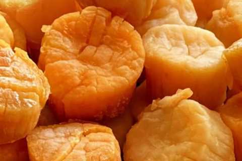 Are Dried Scallops a Healthy Source of Protein?