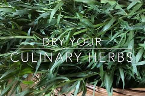 HOW TO DRY HERBS - DRY YOUR OWN CULINARY HERBS