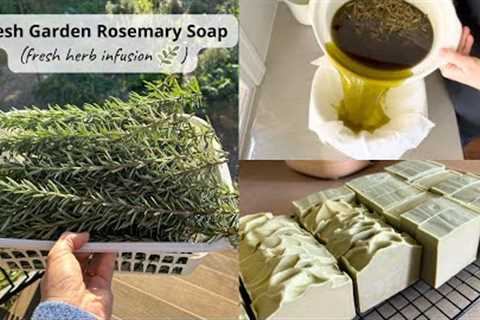 Making Soap with Fresh Rosemary from my Garden (fresh herb infusion, CP soap method). So much fun :)