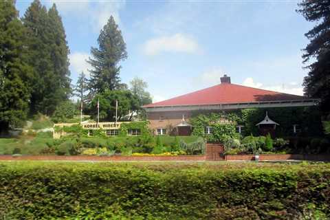 Savor the Finest: Unveiling the 32 Best Napa Wineries for an Unforgettable Tasting Journey