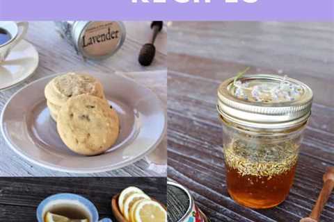 Lovely Lavender - Beyond Culinary Uses!