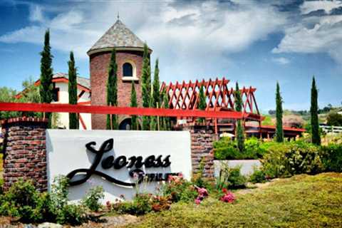Sip by Sip: A Curated Guide to the 24 Must-Visit Wineries of Temecula