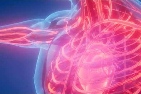 How to Lower Your Blood Pressure
