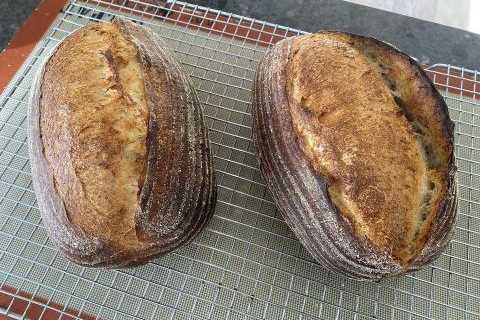 Singing bread