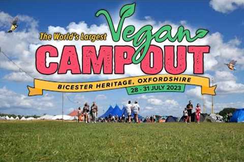Vegan Camp Out 2023 with TVG & @TheVeganQueens