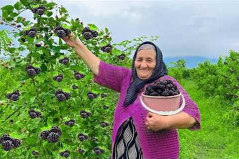 Harvesting Lots of Fresh Blackberries and Making Jam and Cake in the Village!
