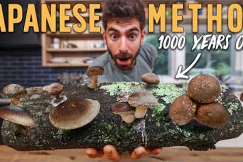 How to Grow Shiitake Mushrooms on Logs