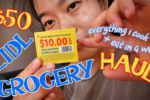 $50 LIDL HAUL: a week of eating, cooking + recipes!