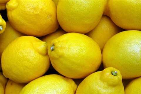 Versatile Citrus Fruit for Many Uses!