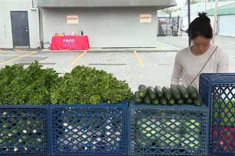Actors on Strike Get Free Food From Farmers Market