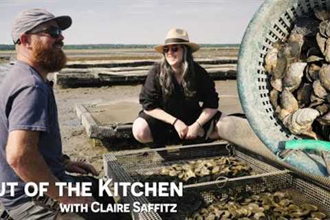 Claire Saffitz Visits An Oyster Farm | Out of The Kitchen