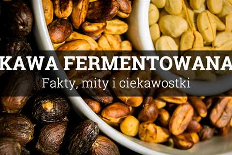 Kawa fermentowana – czego się po niej spodziewać?