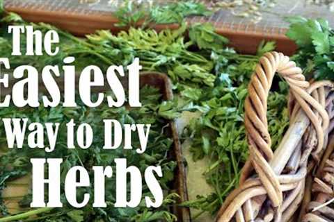 How to Preserve Herbs | 4 Ways of Drying Herbs at Home