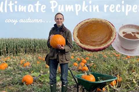 The taste of autumn: PUMPKIN PIE & PUMPKIN SPICE LATTE 🎃🍂👻