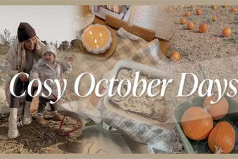 COSY OCTOBER VLOG | pumpkin picking, baking cinnamon buns & a christmas B&M haul 🍂